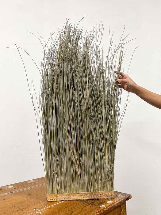 CALLIOPE » Parete verticale di erba naturale essiccata 100 cm