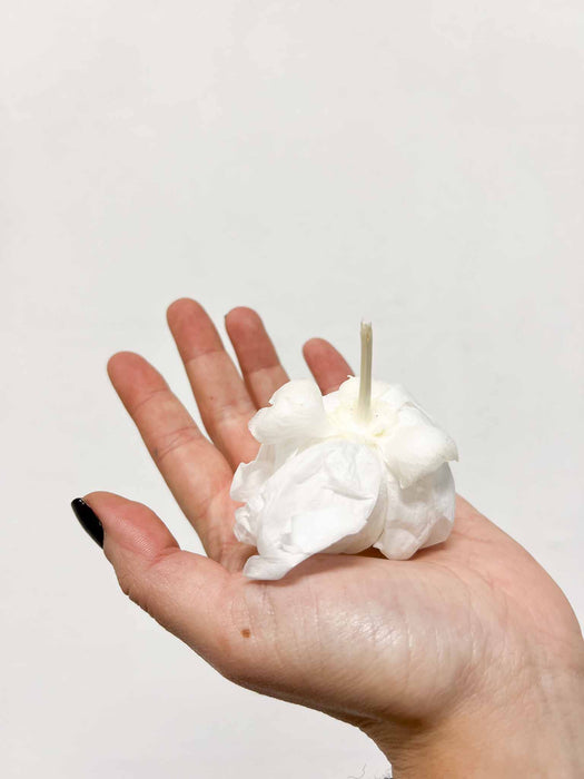 CLELIA » Confezione da 3 Peonie stabilizzate bianche