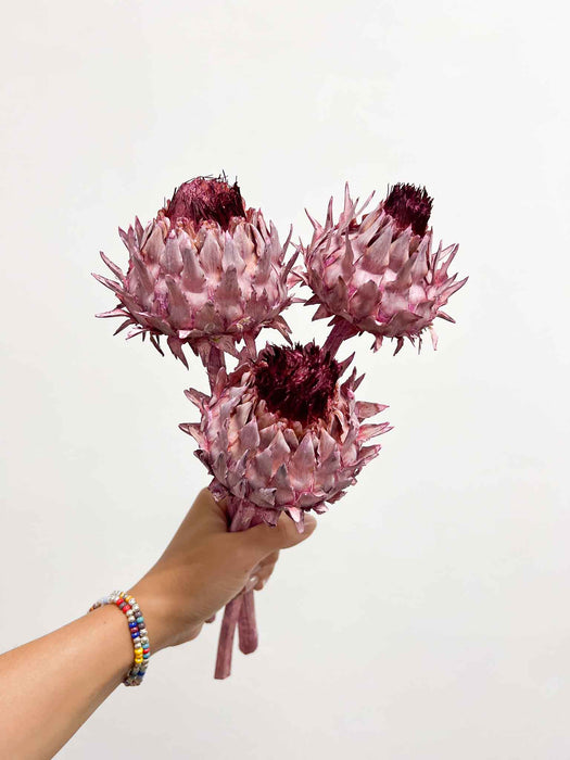 RAFFAELLA » Mazzo da tre fiori di Carciofo rosa