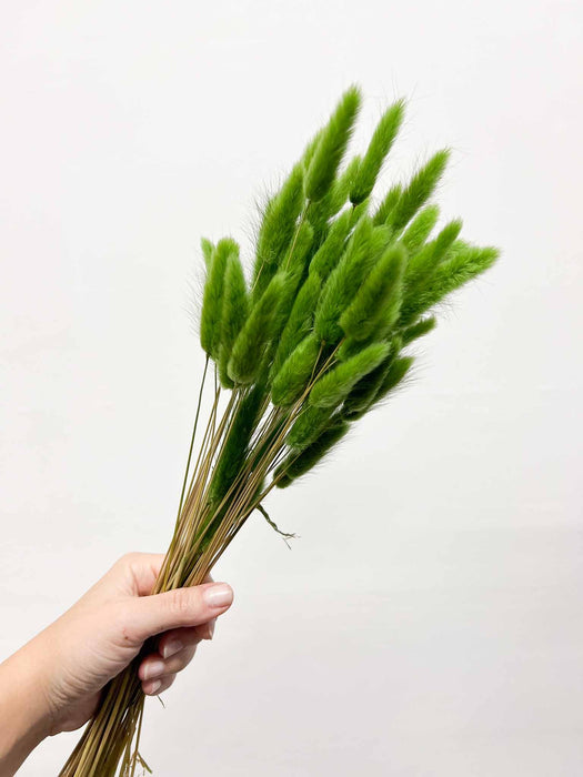 RANIA » Mazzo per bouquet di fiori secchi misti verde mela