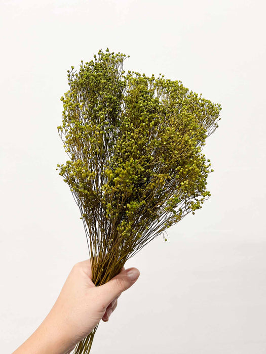 RANIA » Mazzo per bouquet di fiori secchi misti verde mela