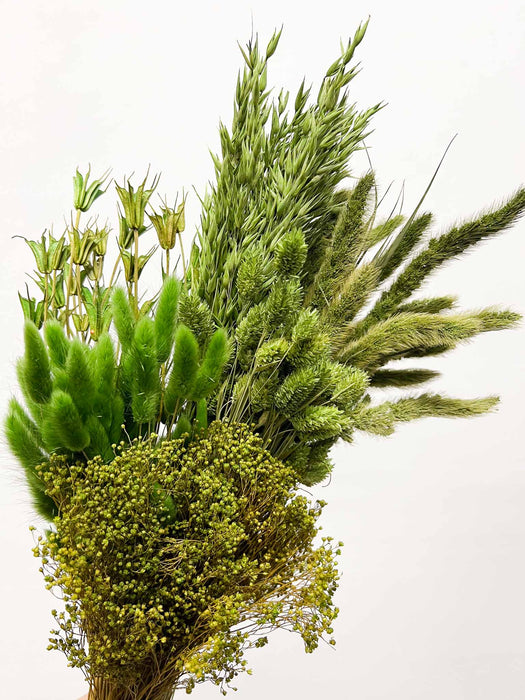 RANIA » Mazzo per bouquet di fiori secchi misti verde mela