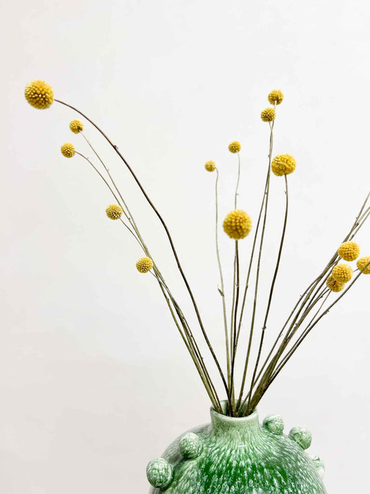 REGINALDO » Vaso in ceramica smaltata con decorazioni sferiche