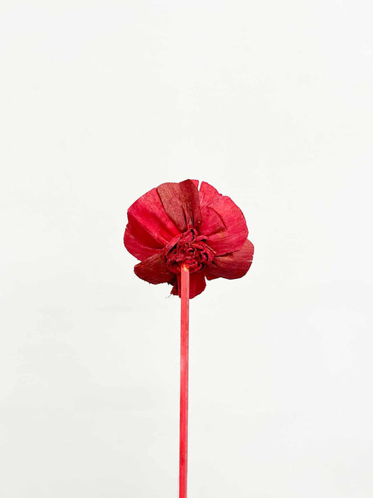 EUFEMIA » Mazzo di 5 Rose ricostruite piccole in fibra di manioca