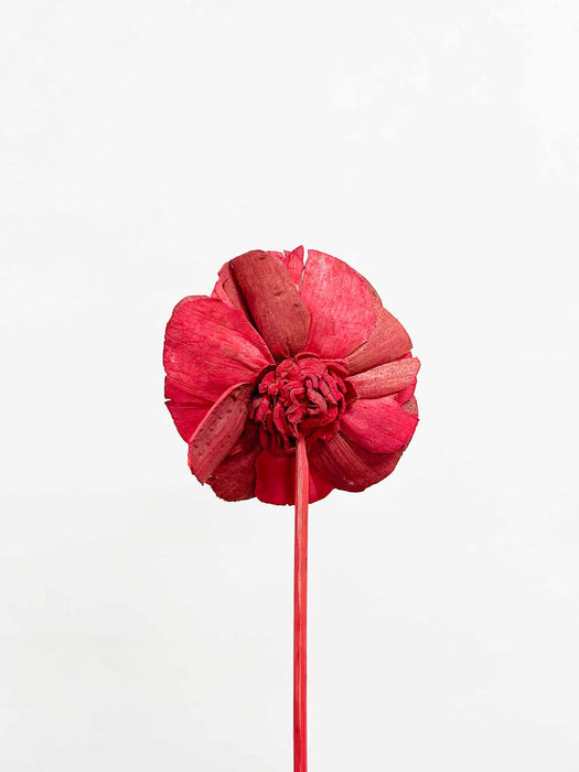 MARIACHIARA » Mazzo di 5 Rose ricostruite grandi in fibra di manioca