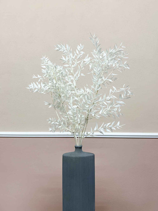 GERMANO » Ruscus stabilizzato bianco