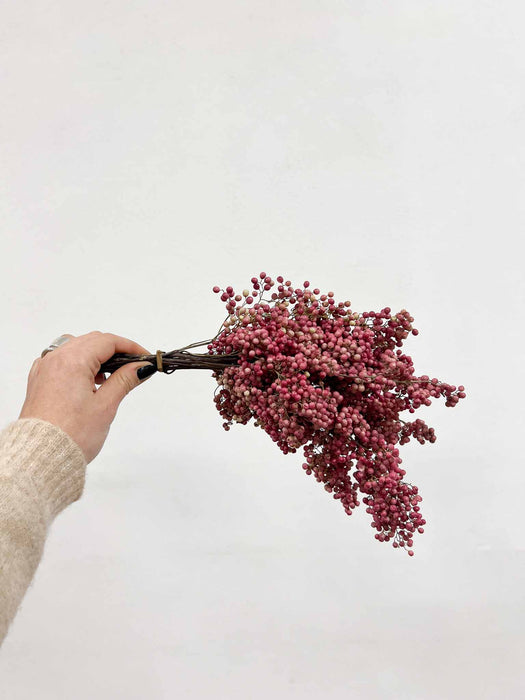 SANDRA » Mazzo di Pepe rosa essiccato piccolo