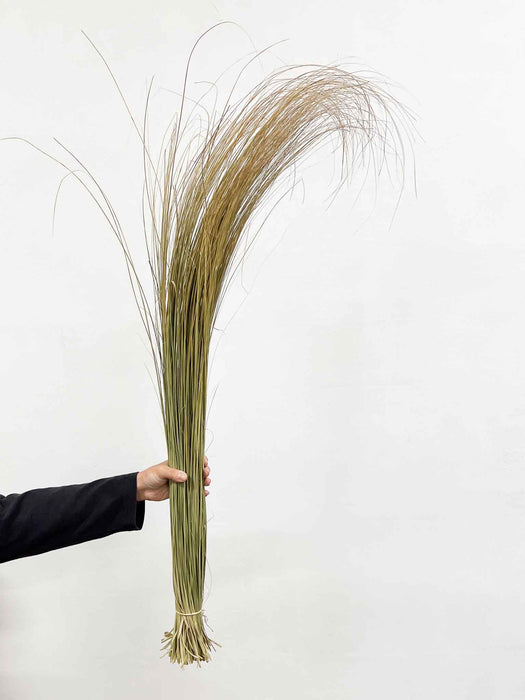 SEBASTIANO » Mazzo di Salicchio essiccato