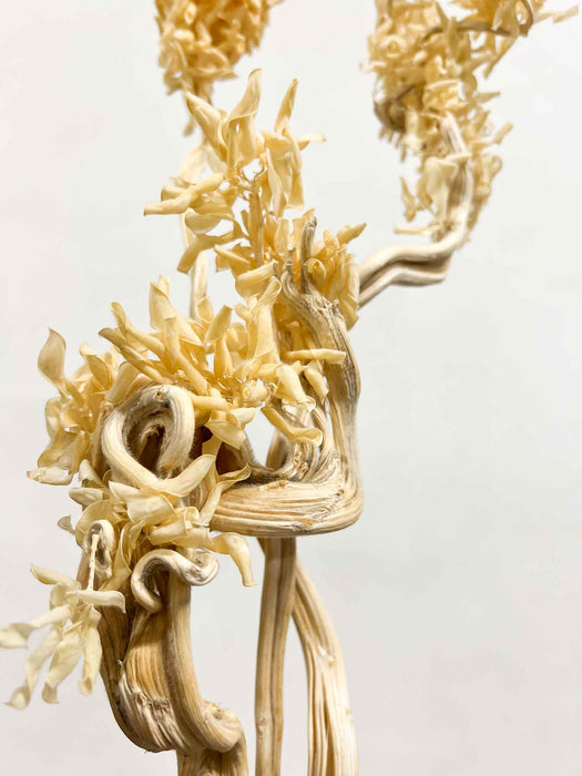 SONIA » 3 rami decorativi naturali con infiorescenze