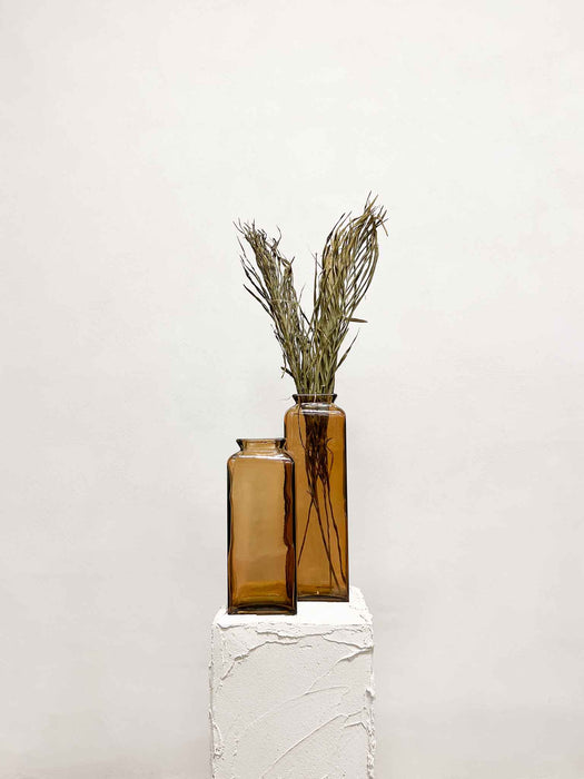 MELISSA » Foglie di Palma tagliate colorate