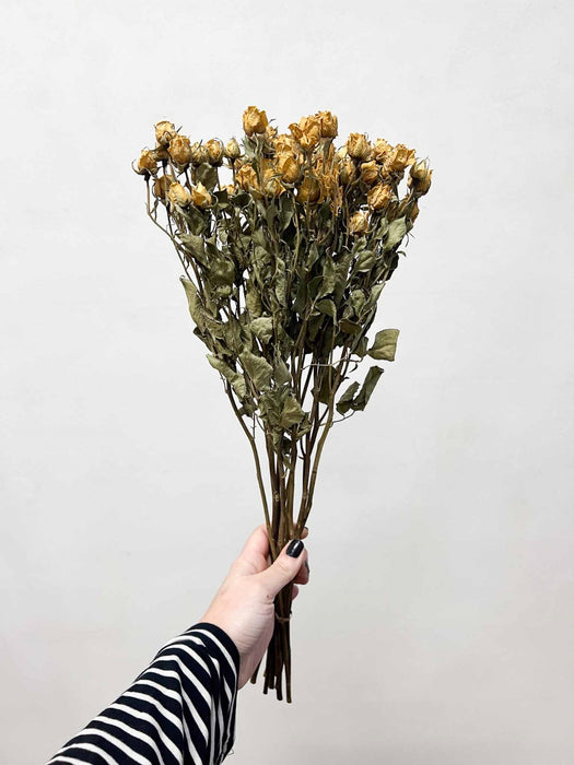 YOKO » Mazzo di Rose spray naturale salmone essiccate