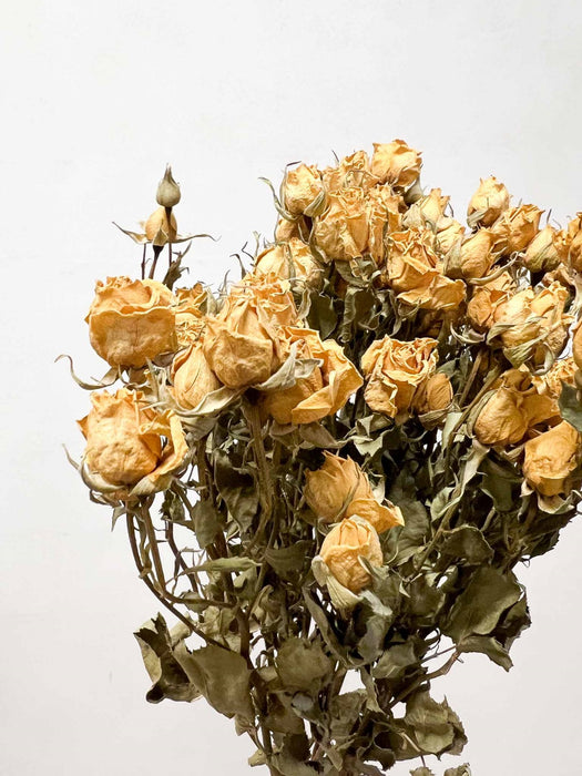 YOKO » Mazzo di Rose spray naturale salmone essiccate