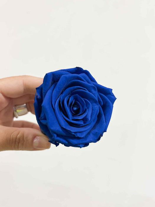 ZACCARIA » Box da 6 fiori di Rosa blu diametro 6,5cm standard