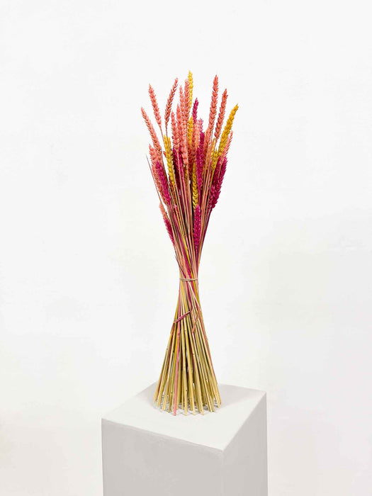 ZELIA » Mazzo di fiori secchi arancio, giallo e fucsia