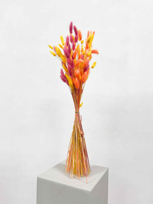 ZELIA » Mazzo di fiori secchi arancio, giallo e fucsia