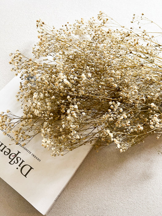 VERA » Preserved cream Gypsophila bouquet