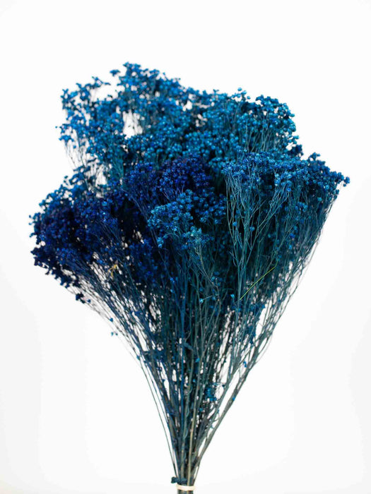 VALERIA » Blue Broom Bloom bouquet