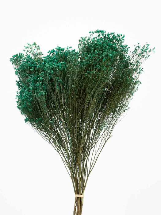 ERMES » Petrol green Broom Bloom bouquet