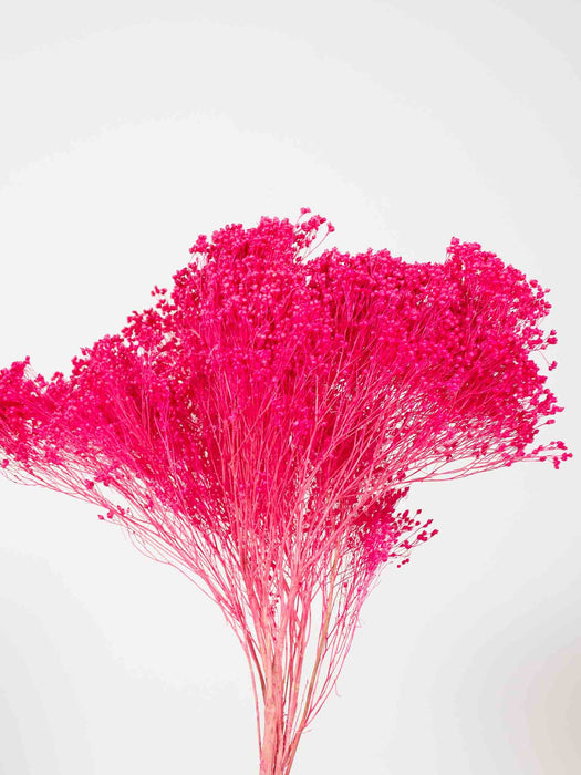 ELSA » Fuchsia Broom Bloom bouquet