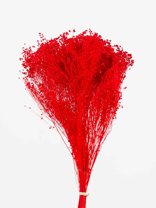 UMBERTO » Red Broom Bloom bouquet