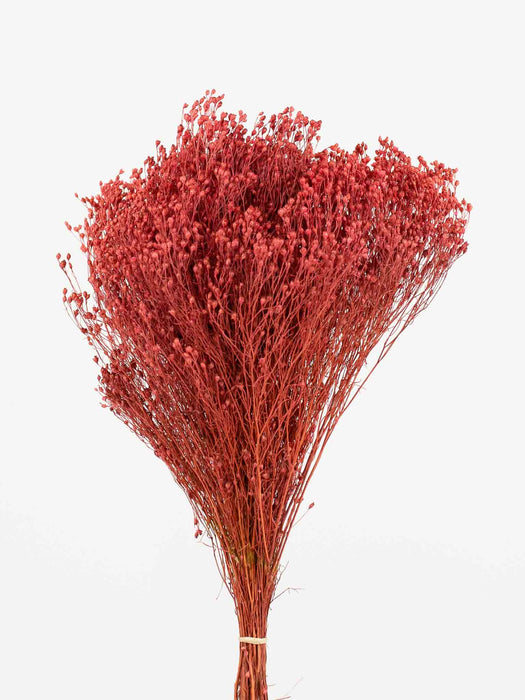 GAIA » Antique pink Broom Bloom bouquet