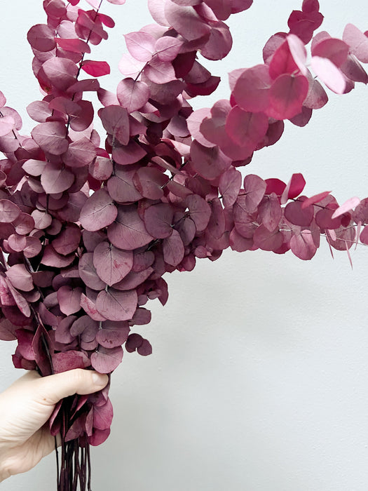 EUGENIA » Mazzo di Eucalipto Stuartiana stabilizzato rosa scuro