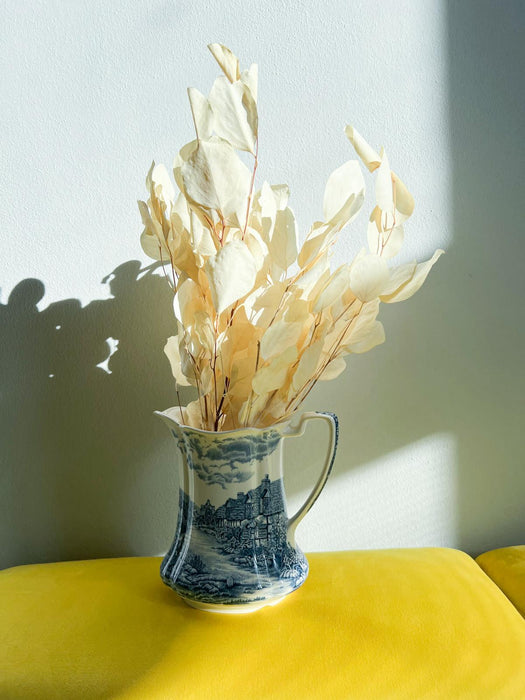 LAPO » Mazzo di Eucalipto Populus essiccato bianco