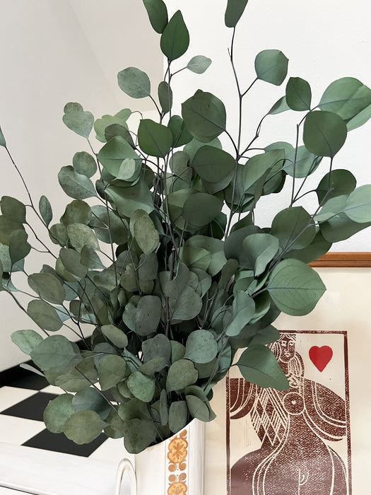 ANTONELLA » Preserved green Eucalyptus Populus bouquet