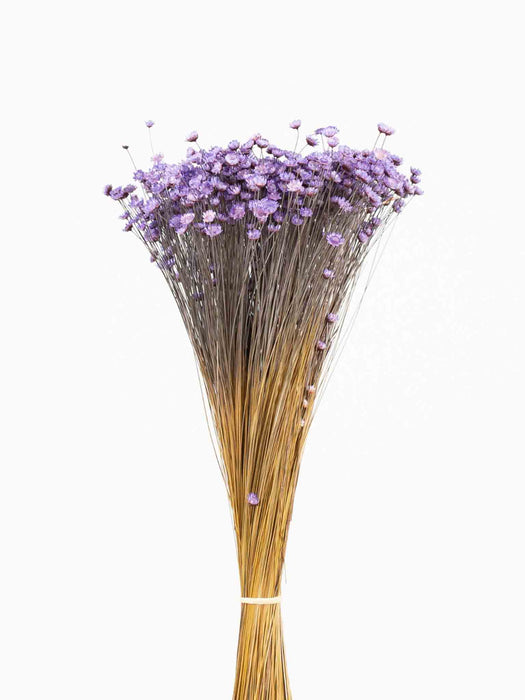 LUDOVICA » Light purple Glixia bouquet