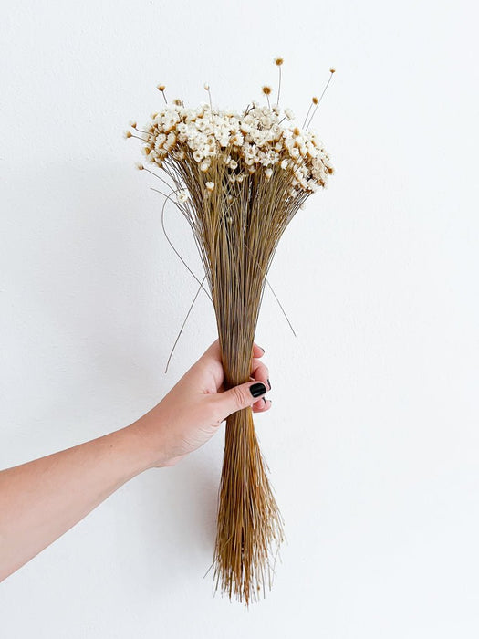 ILARIA » Mazzo di fiori di Glixia naturale