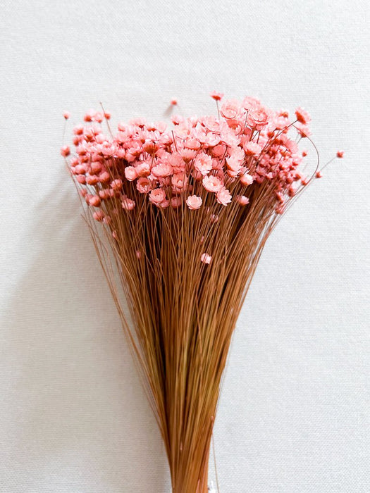 ALEXA » Pink colored Glixia bouquet
