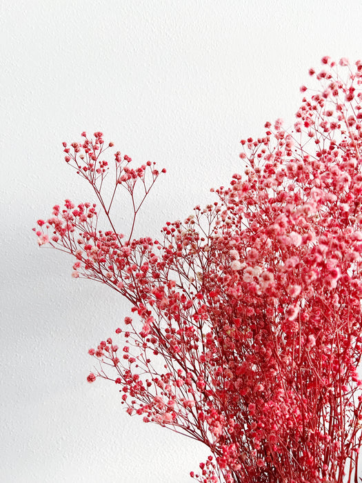ALMA » Preserved dark pink Gypsophila bouquet