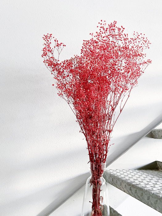 ALMA » Mazzo di Gypsophila stabilizzata rosa scuro