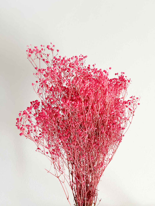 LOLITA » Preserved fuchsia Gypsophila bouquet