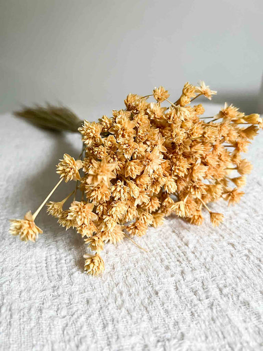 MELANIA  » Mazzo di fiori di Hill Flower crema