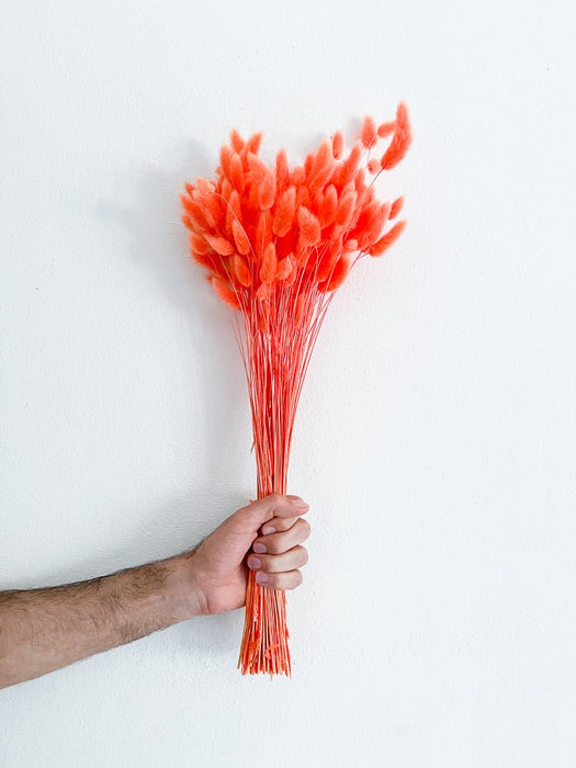 CRISTIAN » Bright orange Lagurus bouquet