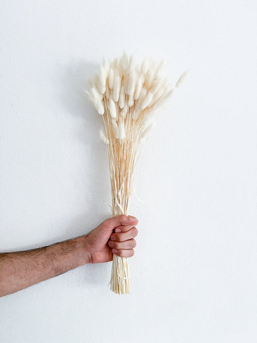 BRUNO » White Lagurus bouquet