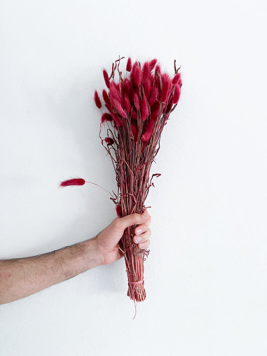 TAURO » Burgundy Lagurus Bouquet