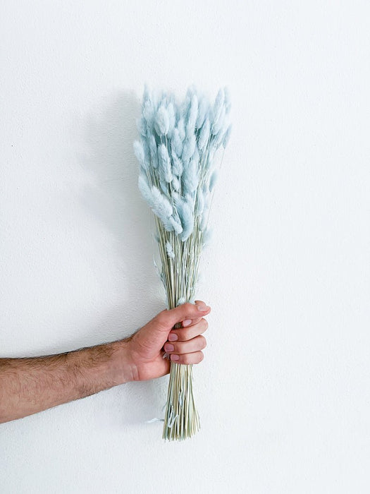 CELESTE » Light blue Lagurus bouquet