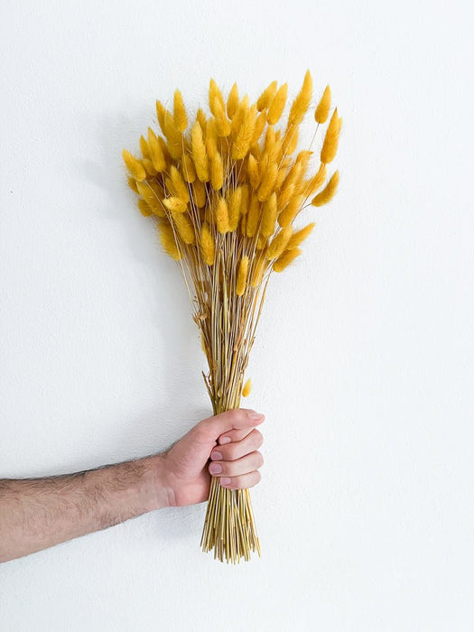 DOMENICO » Ochre yellow Lagurus bouquet
