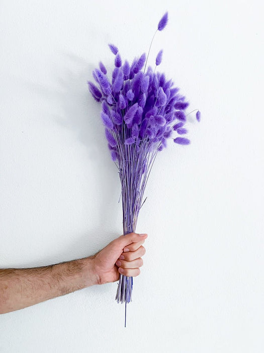 CLARISSA » Lavander purple Lagurus bouquet