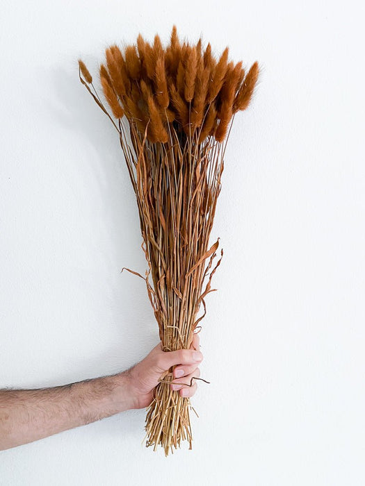 BIAGIO » Brown Lagurus bouquet
