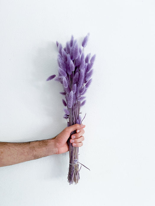 NUNZIA » Mauve Lagurus bouquet