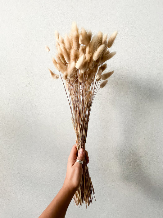 LIO » Natural Lagurus bouquet