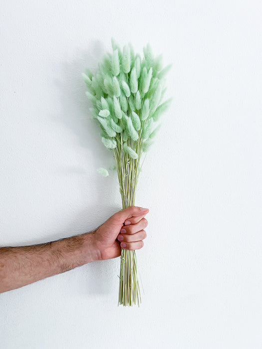 WENDY » Mint green Lagurus bouquet