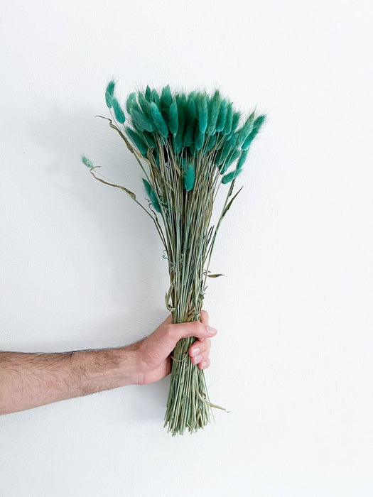 CLAUDIA » Teal green Lagurus bouquet