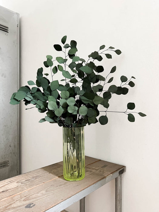 VASO VETRO » lime grande - CESARE