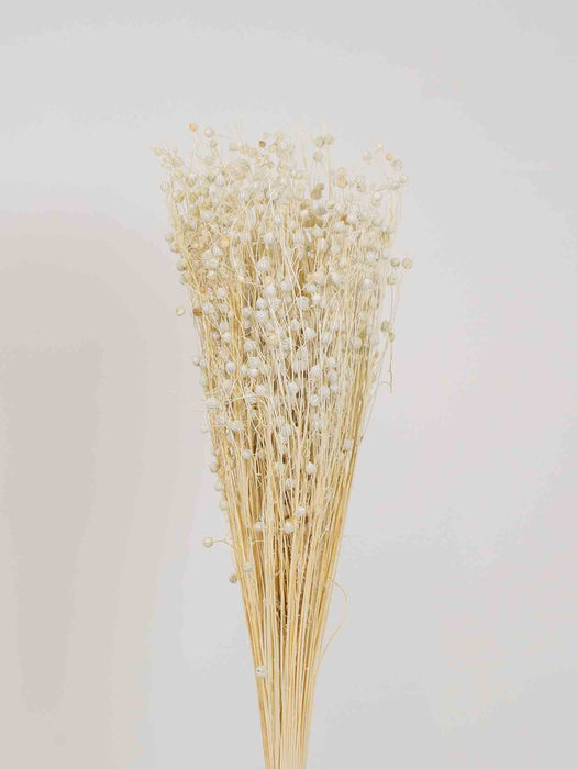 ISOTTA » White Flax bouquet