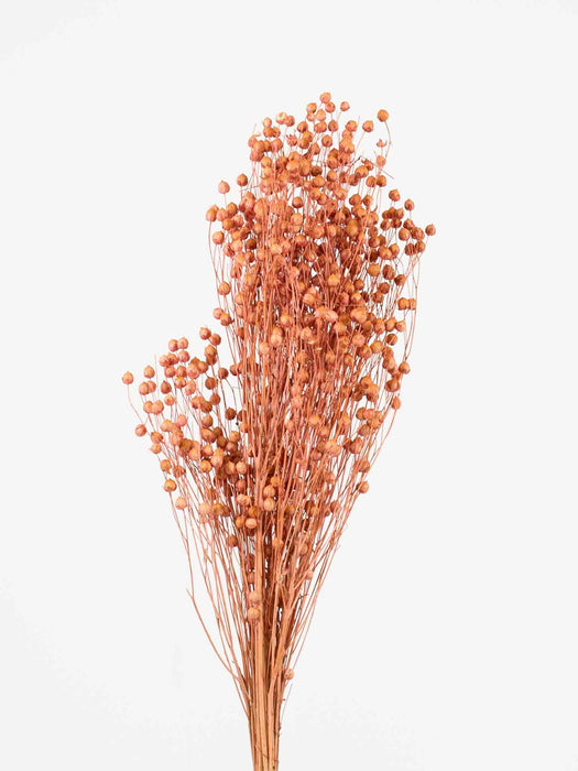 OTTAVIA » Antique pink Flax bouquet