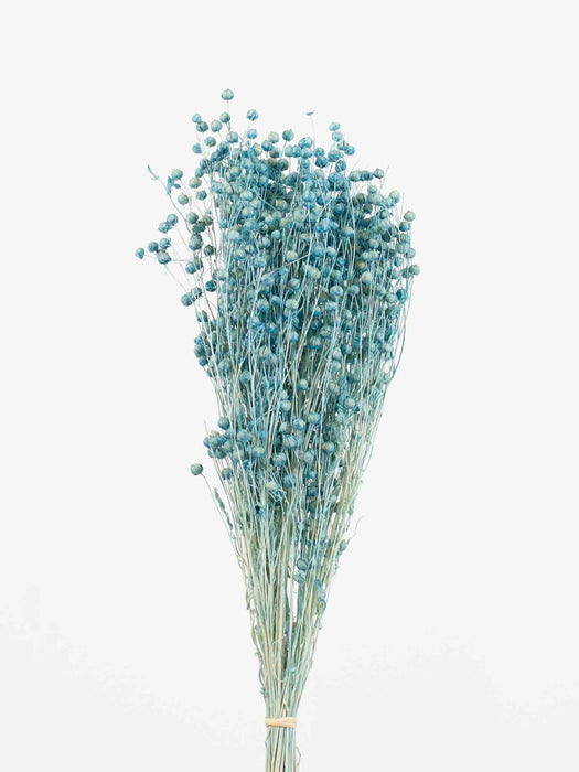 NELLA » Light blue Flax bouquet